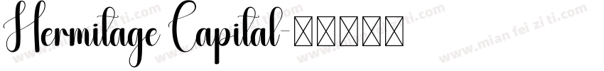 Hermitage Capital字体转换
